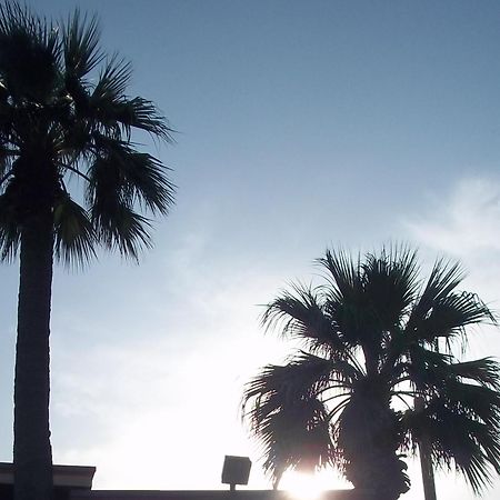 Whispering Palms Inn Del Rio Buitenkant foto