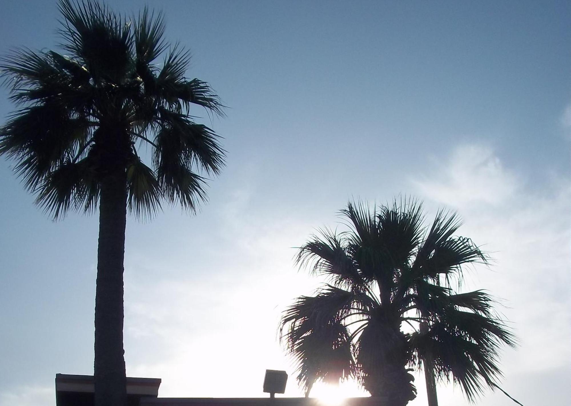 Whispering Palms Inn Del Rio Buitenkant foto